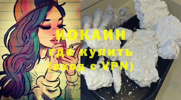гашик Белокуриха