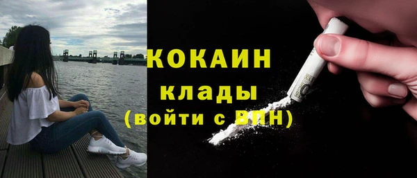 гашик Белокуриха