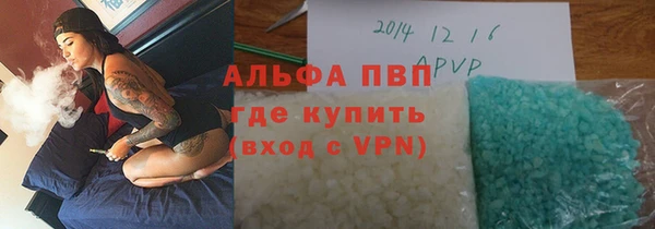 гашик Белокуриха