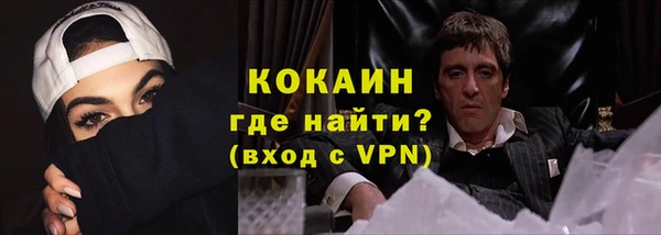 индика Белоозёрский