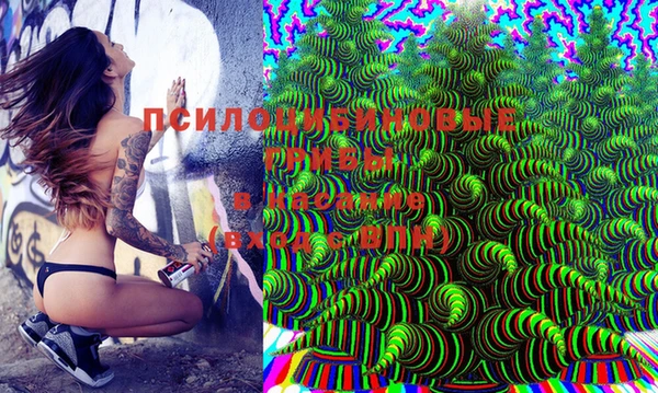 индика Белоозёрский