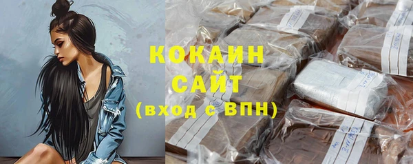 гашик Белокуриха