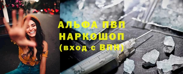 гашик Белокуриха