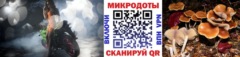 Псилоцибиновые грибы Psilocybe  blacksprut зеркало  Цоци-Юрт 
